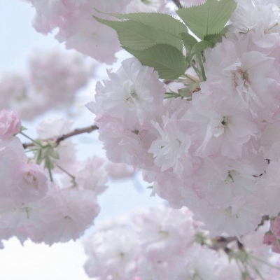 章丘FurryQQ群介绍